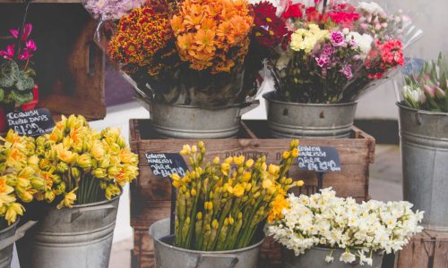 CANM_floristeria-1 CANM_floristeria-1