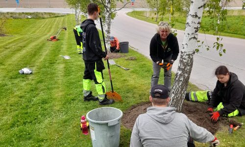 Imagen de WhatsApp 2025-11-20 a las 10.57.38_1dc6faad