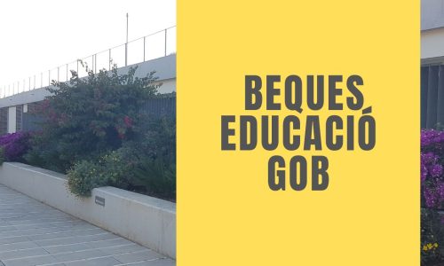 informació d'entrega de notes